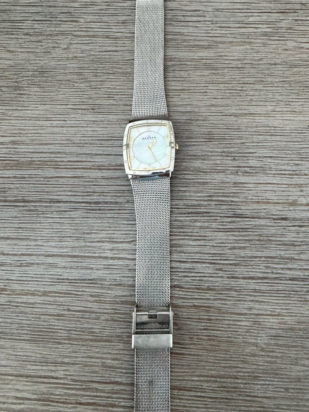 Skagen Silver Mesh Watch with Mother-of-Pearl Dial